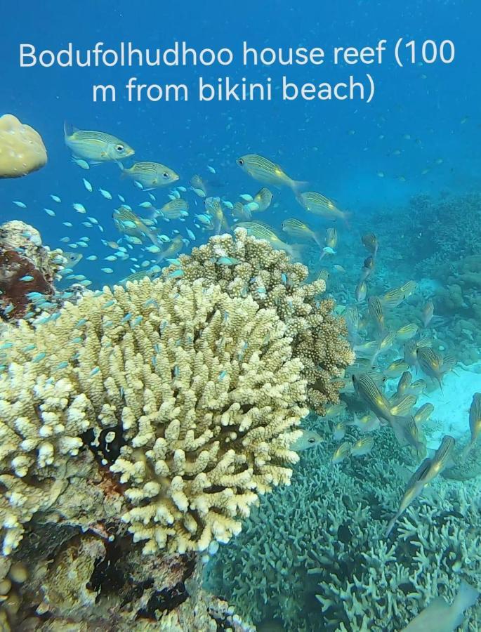 מלון Bodufolhudhoo Surfretreat מראה חיצוני תמונה