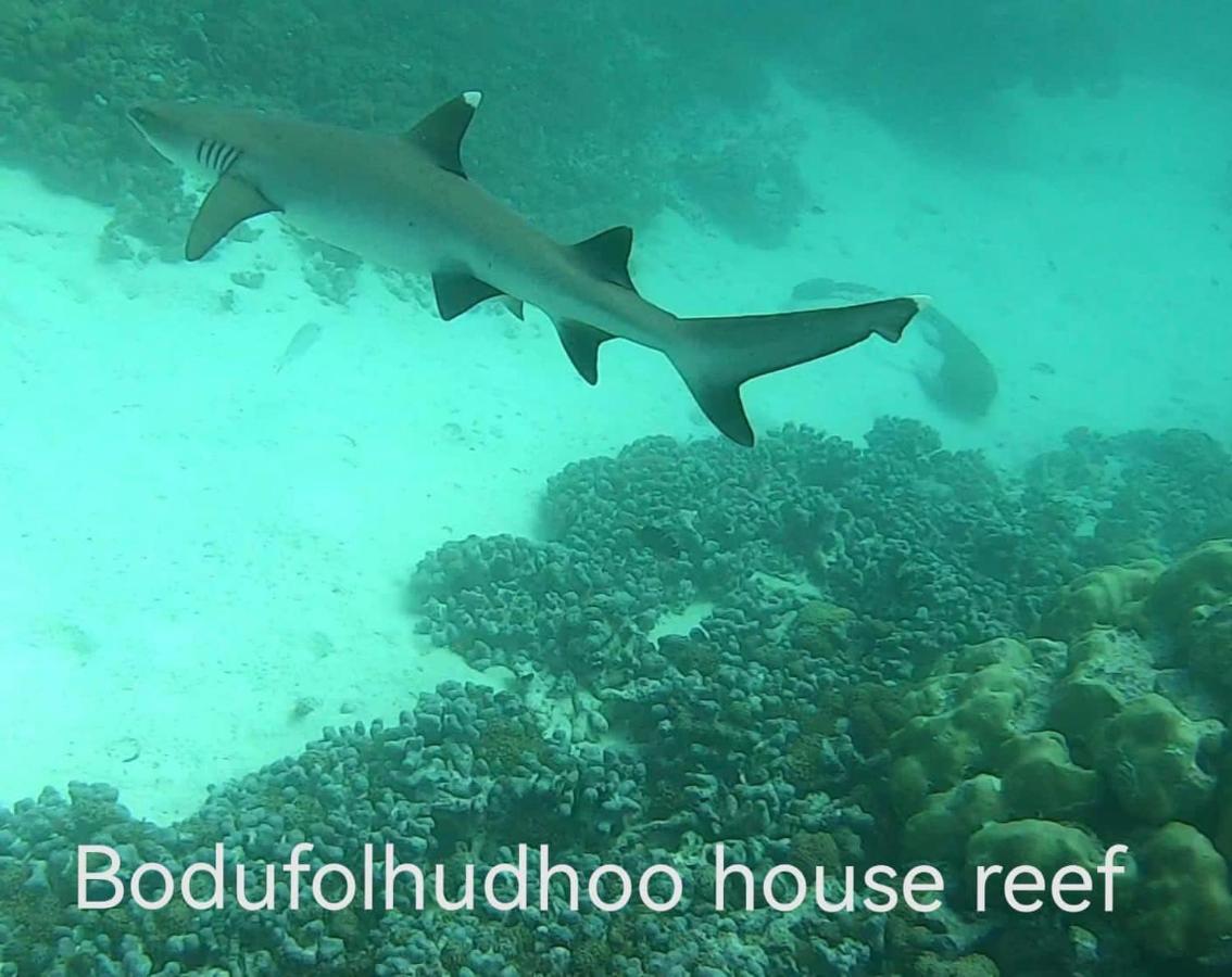 מלון Bodufolhudhoo Surfretreat מראה חיצוני תמונה