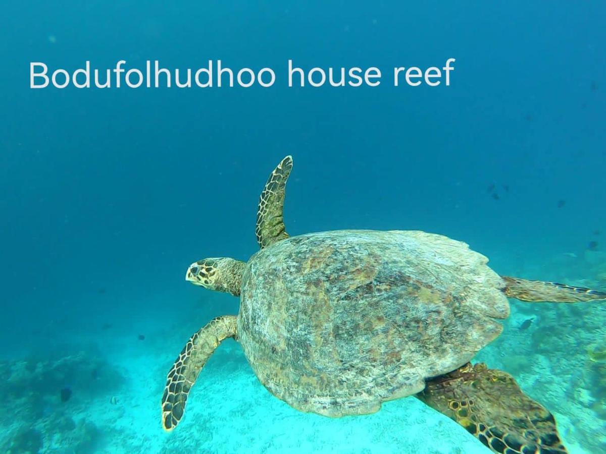מלון Bodufolhudhoo Surfretreat מראה חיצוני תמונה