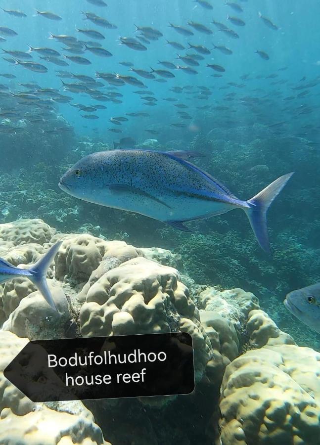 מלון Bodufolhudhoo Surfretreat מראה חיצוני תמונה