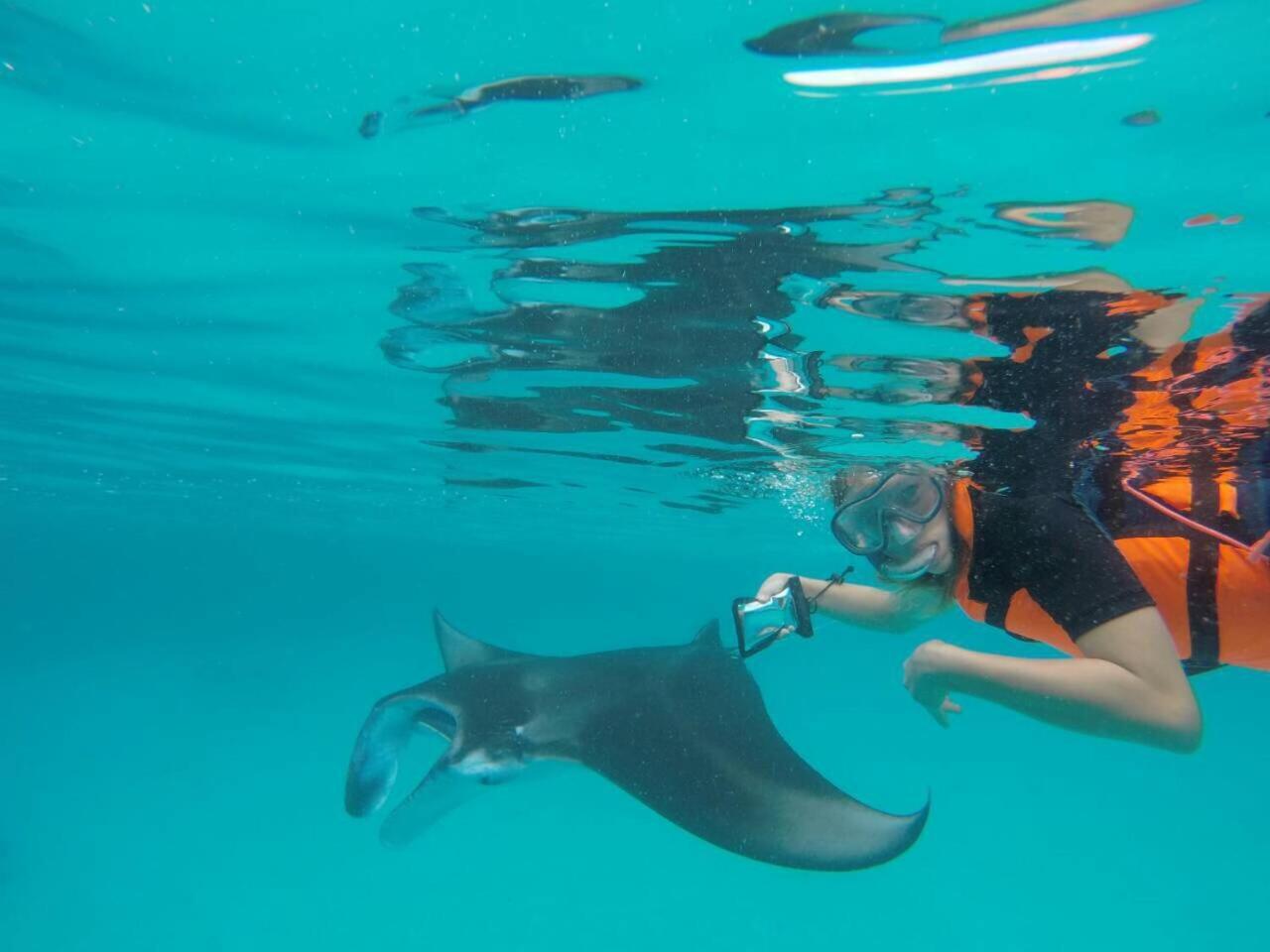 מלון Bodufolhudhoo Surfretreat מראה חיצוני תמונה